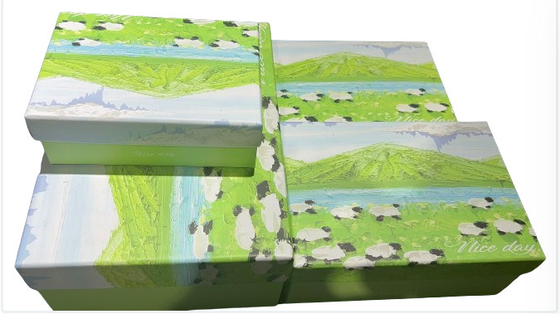 Hermoso patrón caja de regalo Flip Top personalizada de cartón rígido diseño elegante