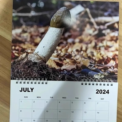 Calendario de pared personalizado Destaca con personalización y unión espiral duradera
