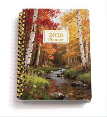 Cuaderno de diario artístico personalizado con cubierta en relieve, elegante planificador personalizado para profesionales de negocios